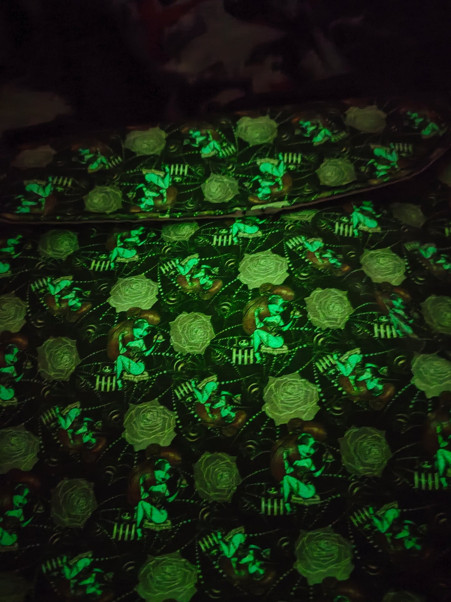 Sally Makeup Bag ( Glows In Dark)